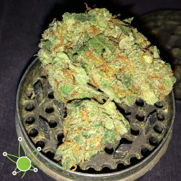 Super Silver Haze during a coffeeshops.tour in Amsterdam found at Boerejongens