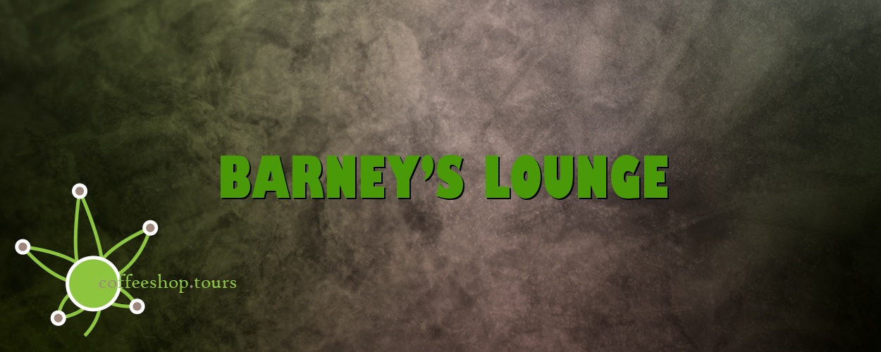 Barney & Friends Boy Lounge