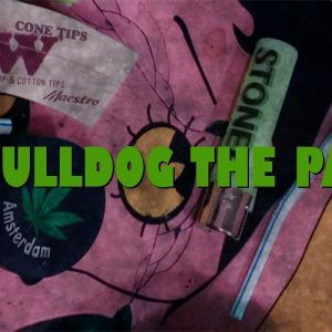 The Bulldog The Palace