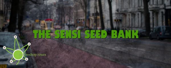 The Sensi Seed Bank