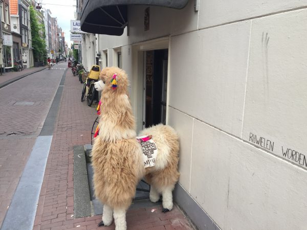 Entrance to the MIPACHA Store in Amsterdam
